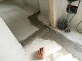 IMG_7526