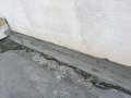 IMG_1505
