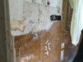 IMG_0895