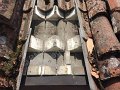 IMG_1828