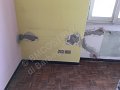IMG_1072