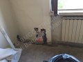 IMG_4759
