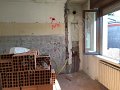 IMG_4761