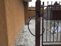 IMG_4877