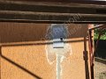 IMG_4987