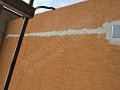IMG_5005