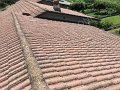 IMG_1100